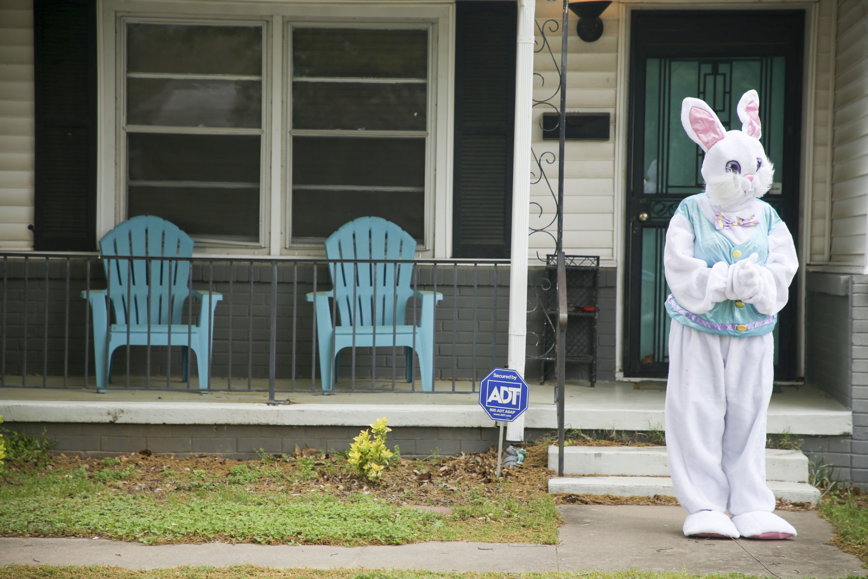 EASTER BUNNY DRIVE-BY